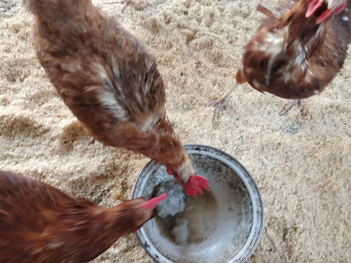 History Museum «Museum at Eldridge Street», reviews and photos, 12 Eldridge St, New York, NY 10002, USA