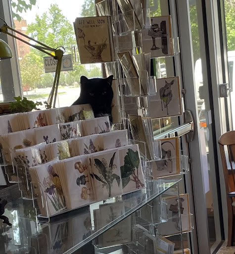 Book Store «Next Page Books», reviews and photos, 1105 3rd St SE, Cedar Rapids, IA 52401, USA