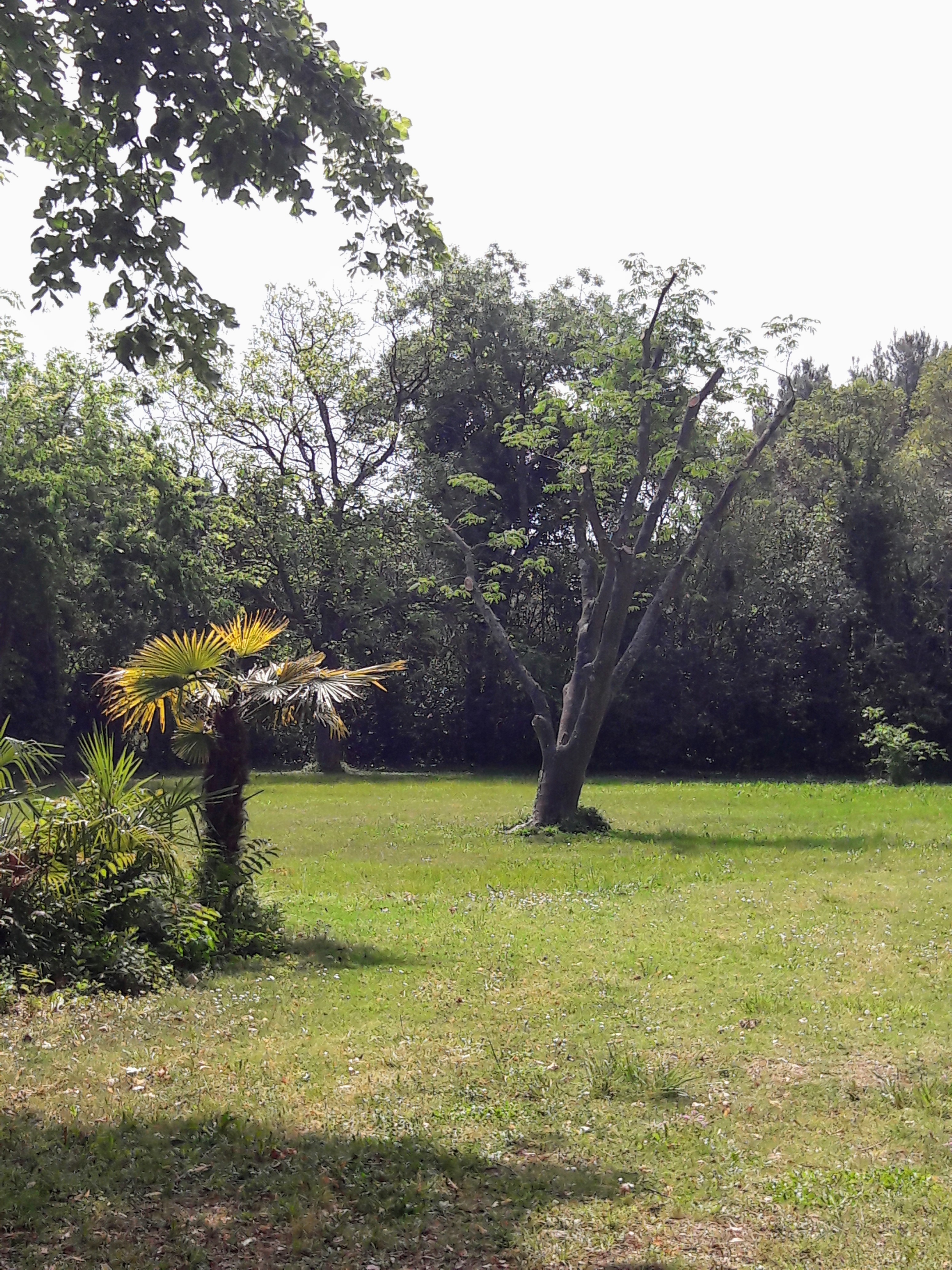 Photo n° 1 de l'avis de Jo.o fait le 25/05/2019 à 14:43