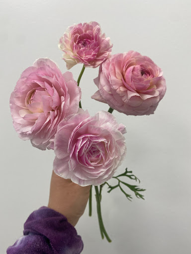 Florist «Always Floral», reviews and photos, 5034 Farm to Market 2920 C, Spring, TX 77388, USA