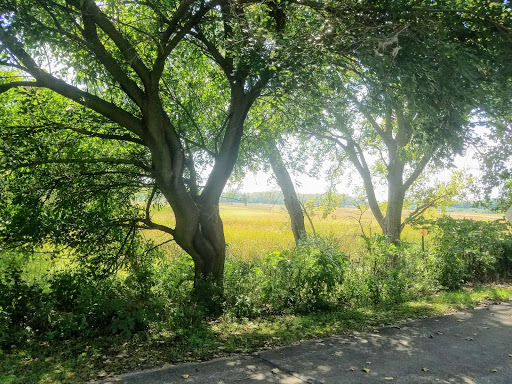 Nature Preserve «Lockport Prairie Nature Preserve», reviews and photos, Broadway St, Lockport, IL 60441, USA