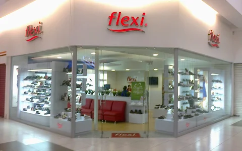 Flexi image