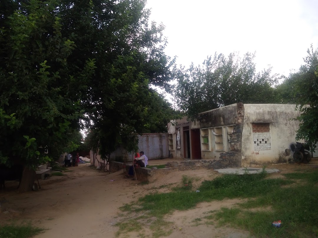 प्रियंका ब्यूटीपार्लर एंड कॉस्मेटिक ,ज़िद्दी डिटर्जेन्ट पाउडर उद्योग , कटारिया इंडस्ट्रीज