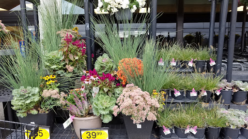 Grocery Store «Quality Food Center», reviews and photos, 1009 Monroe Ave, Enumclaw, WA 98022, USA