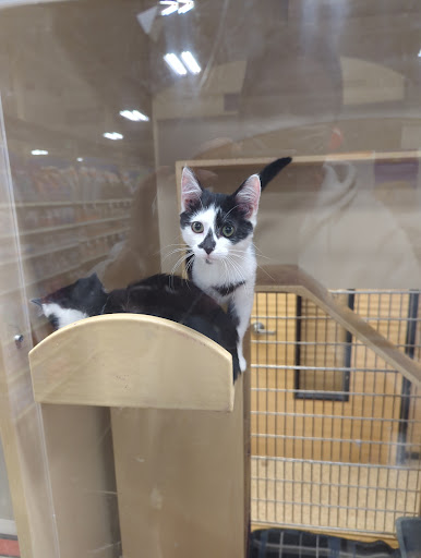 Pet Supply Store «PetSmart», reviews and photos, 8210 Macedonia Commons Blvd #10, Macedonia, OH 44056, USA