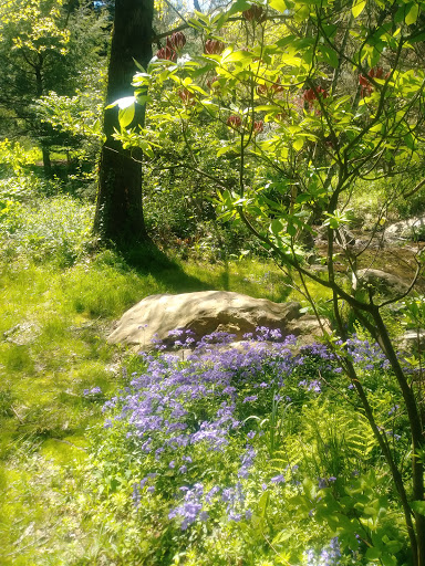 Gift Shop «Stonehedge Gardens», reviews and photos, 51 Dairy Rd, Tamaqua, PA 18252, USA