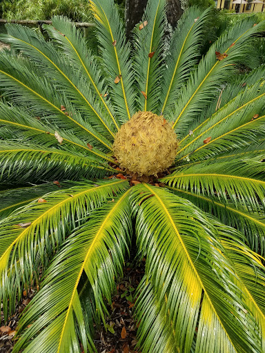 Zoo «Gulf Breeze Zoo», reviews and photos, 5701 Gulf Breeze Pkwy, Gulf Breeze, FL 32563, USA