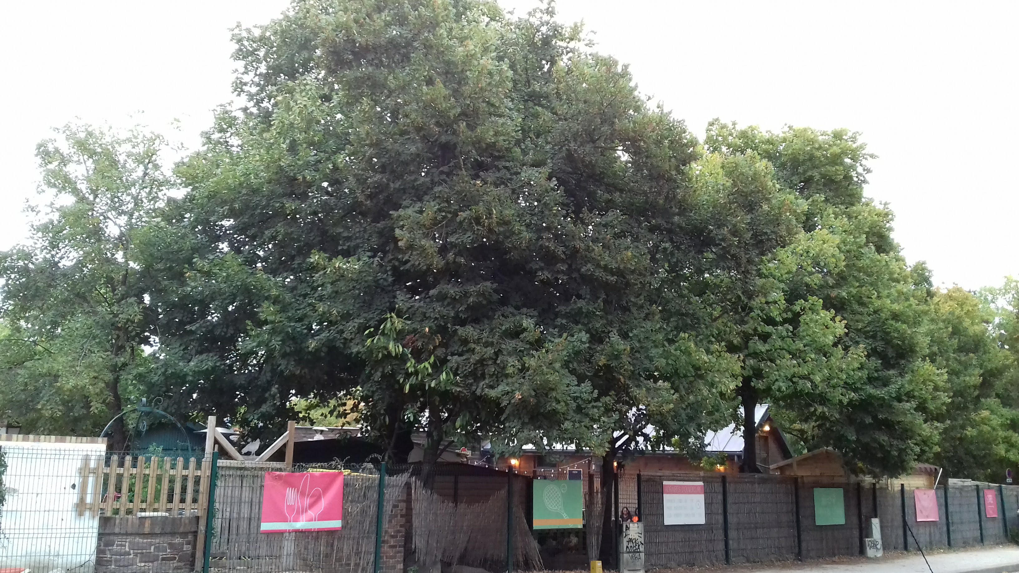 Photo n° 2 de l'avis de ernest.o fait le 28/08/2020 à 19:58