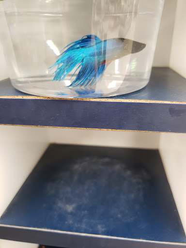 Pet Supply Store «Petco Animal Supplies», reviews and photos, 4915 E 41st St C, Tulsa, OK 74135, USA