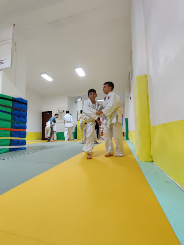 Comentários e avaliações sobre o Academia de judo do arade