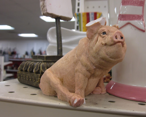 Thrift Store «The Salvation Army Family Store & Donation Center», reviews and photos