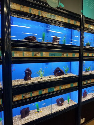 Pet Supply Store «Petco Animal Supplies», reviews and photos, 317 E Trenton Rd, Edinburg, TX 78539, USA