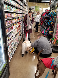 Hollywood Feed - Photo 7 - Car repair in Bexley, OH, Columbus