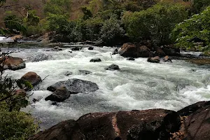 Cachoeira puro encanto image