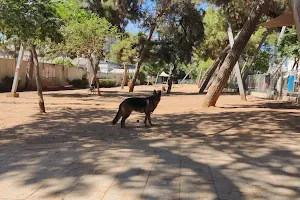 Dog park image