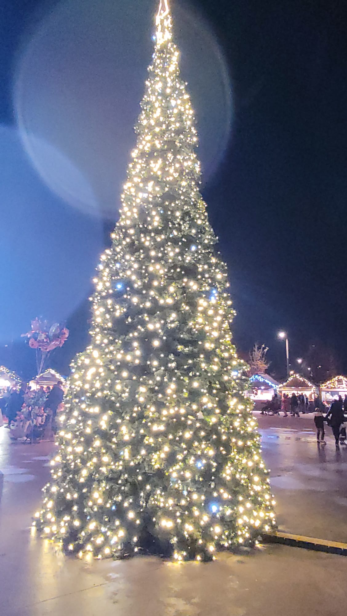 Photo n° 4 de l'avis de Margotte.c fait le 27/12/2023 à 20:21