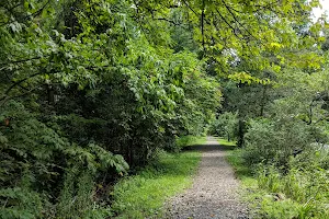 Stony Run Park image