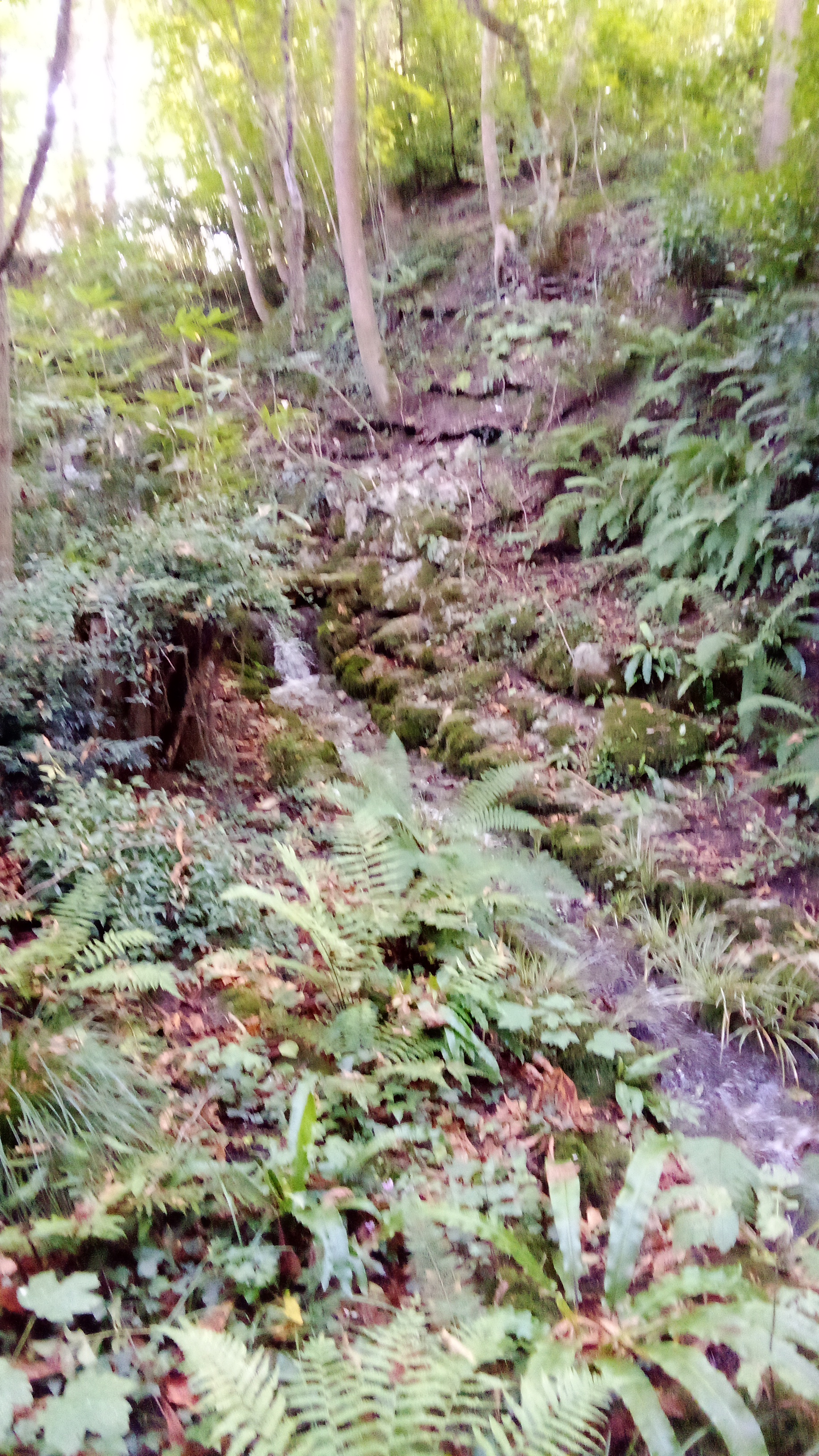 Photo n° 15 de l'avis de moel.o fait le 02/10/2023 à 17:52