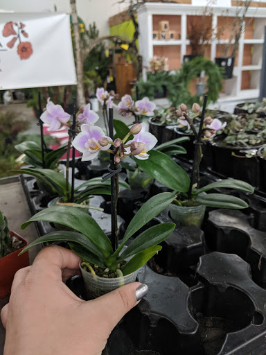 Florist «Portland Flower Market», reviews and photos, 3624 N Leverman St, Portland, OR 97217, USA