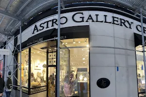Astro Gallery of Gems, Minerals and Fossils image