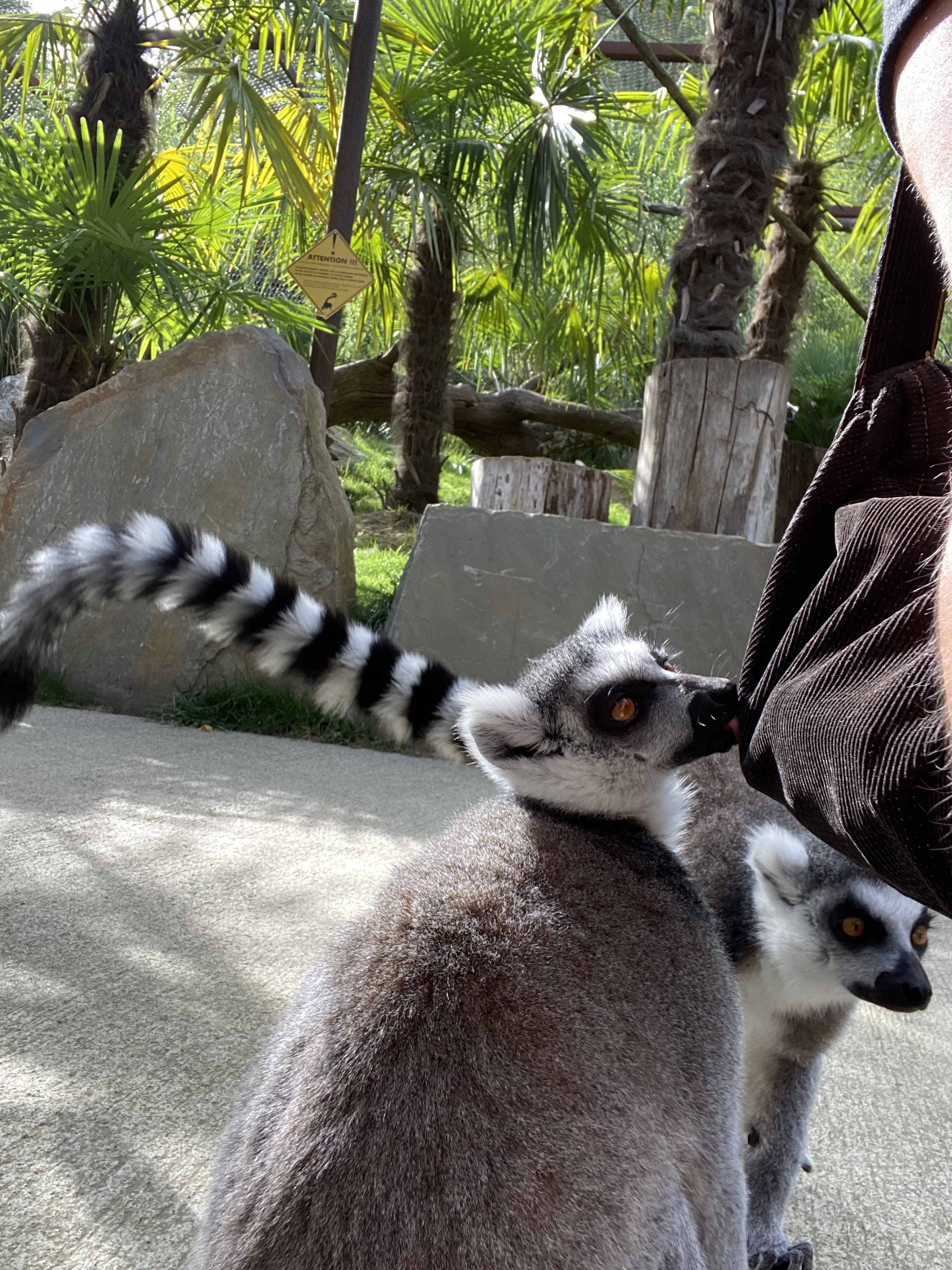 Photo n° 6 de l'avis de Julie-Audrey.e fait le 28/10/2022 à 03:13