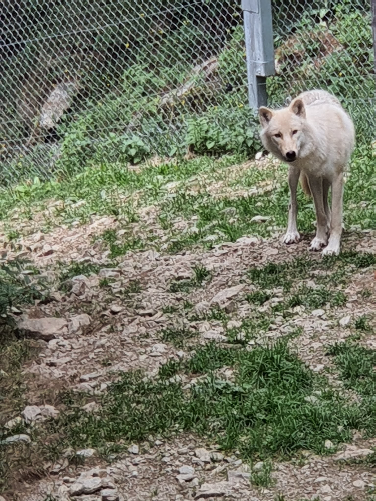 Photo n° 3 de l'avis de Christophe.e fait le 17/08/2020 à 16:36
