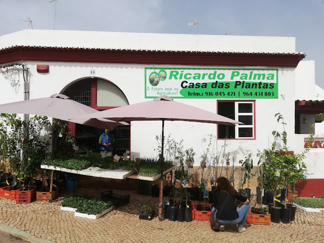 Avaliações doCasa das Plantas (Ricardo Palma) em Silves - Jardinagem