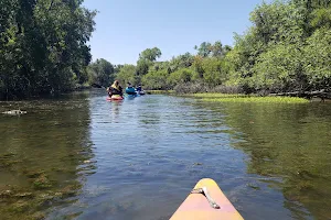 Cosumnes River Preserve image