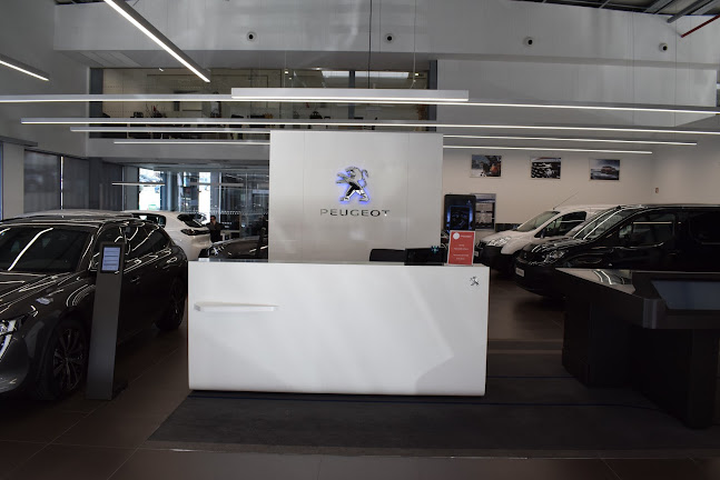 Avaliações doMCoutinho Peugeot em Gondomar - Oficina mecânica