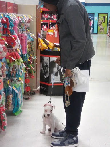 Pet Supply Store «PetSmart», reviews and photos, 3780 Riverchase Village #300, Hoover, AL 35244, USA