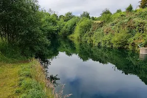 Temple Springs Fishery image