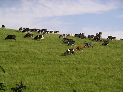 West Ridge Veterinary Practice en Tiverton