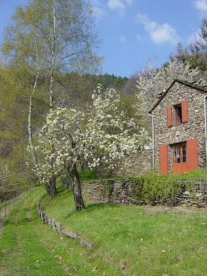 La Ferme du Bancilhon à Saint-Germain-de-Calberte