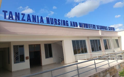 Tanzania Nursing and Midwifery Council image