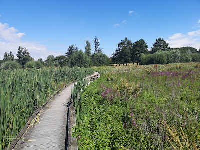 Parc de la Gite à Santes