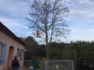 Photo n° 1 de l'avis de marc.E fait le 21/02/2024 à 16:08