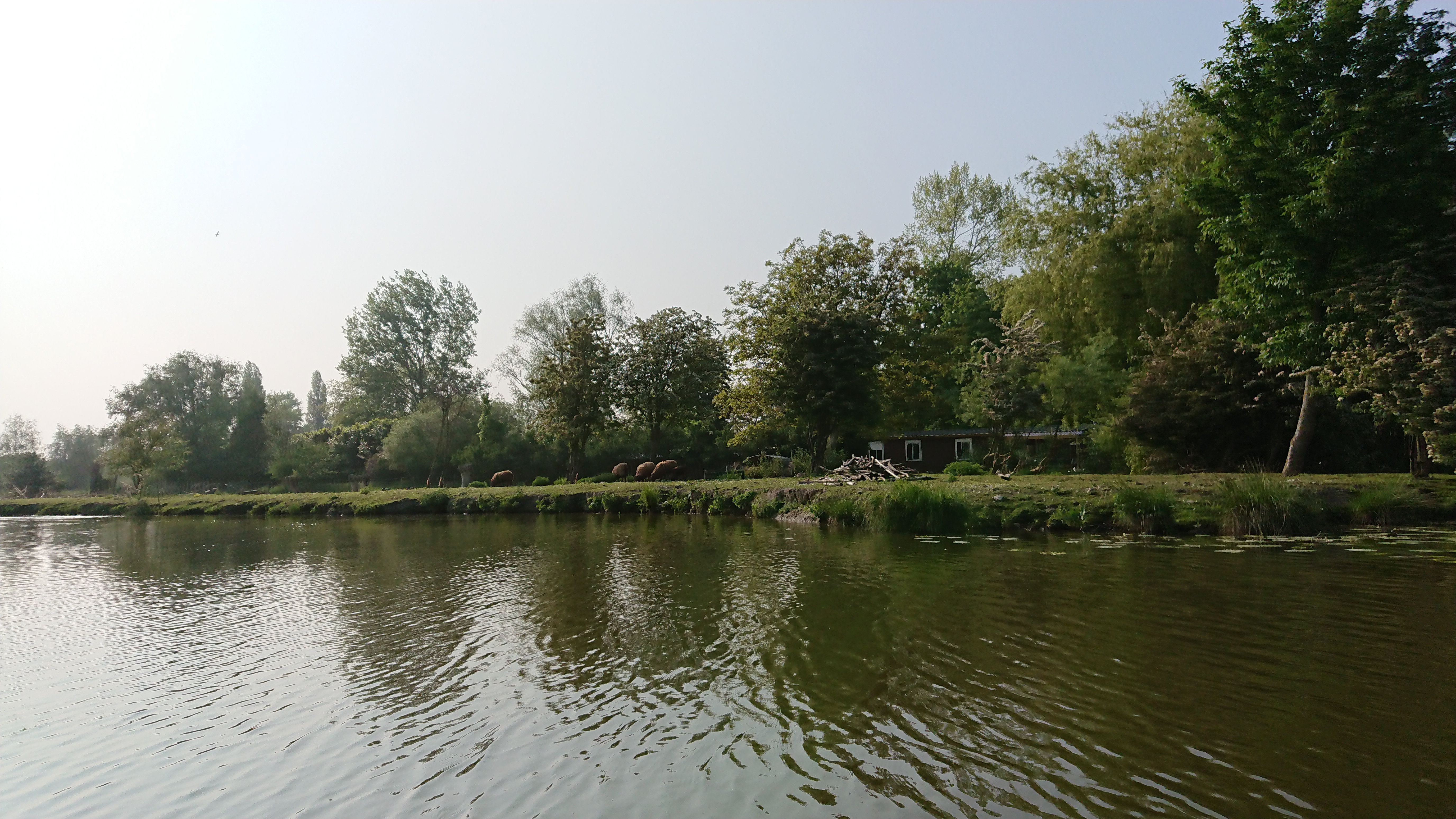 Photo n° 1 de l'avis de Perso.e fait le 20/05/2018 à 16:43