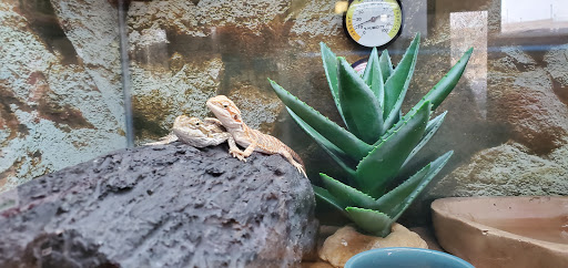 Pet Supply Store «Petco Animal Supplies», reviews and photos, 1507 Rockville Pike, Rockville, MD 20852, USA