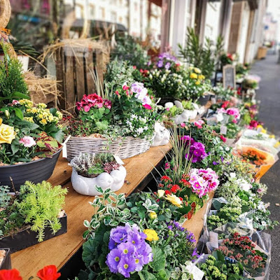 Opale - Artisan Fleuriste à Fougères