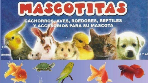 Mascotitas Centro