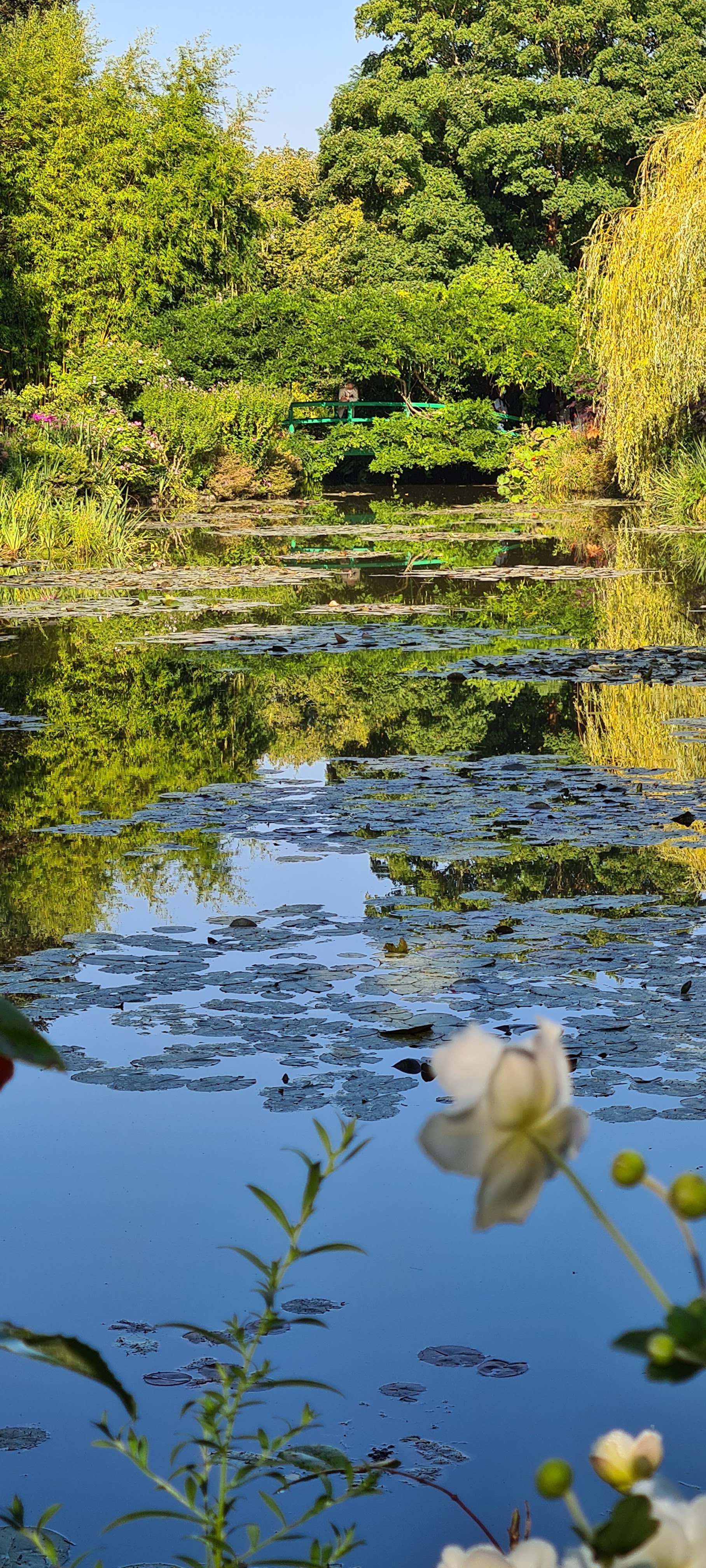 Photo n° 25 de l'avis de Gilles.o fait le 10/09/2021 à 06:37