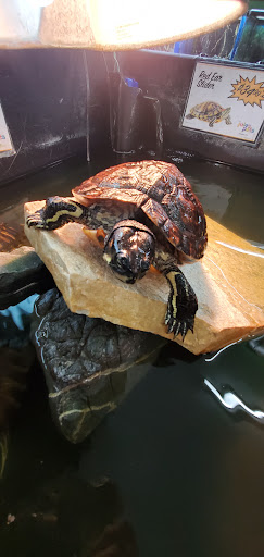 Pet Store «Jules Pet Shop», reviews and photos, 2214 N Milwaukee Ave, Chicago, IL 60647, USA