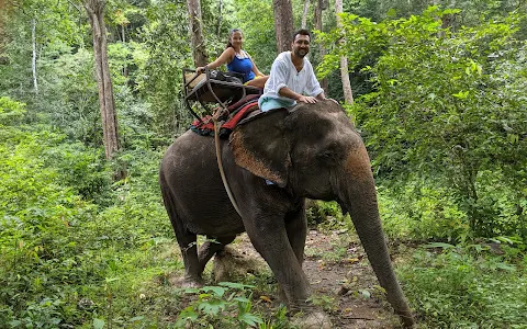 Nosey Parker's Elephant Camp image