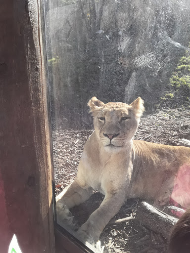 Transit Stop «Dallas Zoo Station», reviews and photos, 614 S. Ewing Avenue, Dallas, TX 75203, USA