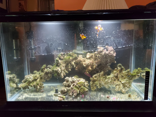 Pet Store «Reef Shac», reviews and photos, 2365 Powder Springs Rd SW #1119, Marietta, GA 30064, USA