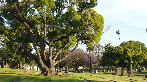 Funeral Home «Inglewood Cemetery Mortuary», reviews and photos, 3801 W Manchester Blvd, Inglewood, CA 90305, USA