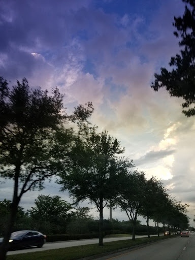 Park «Sunset Park», reviews and photos, 10600 Cleary Blvd, Plantation, FL 33324, USA