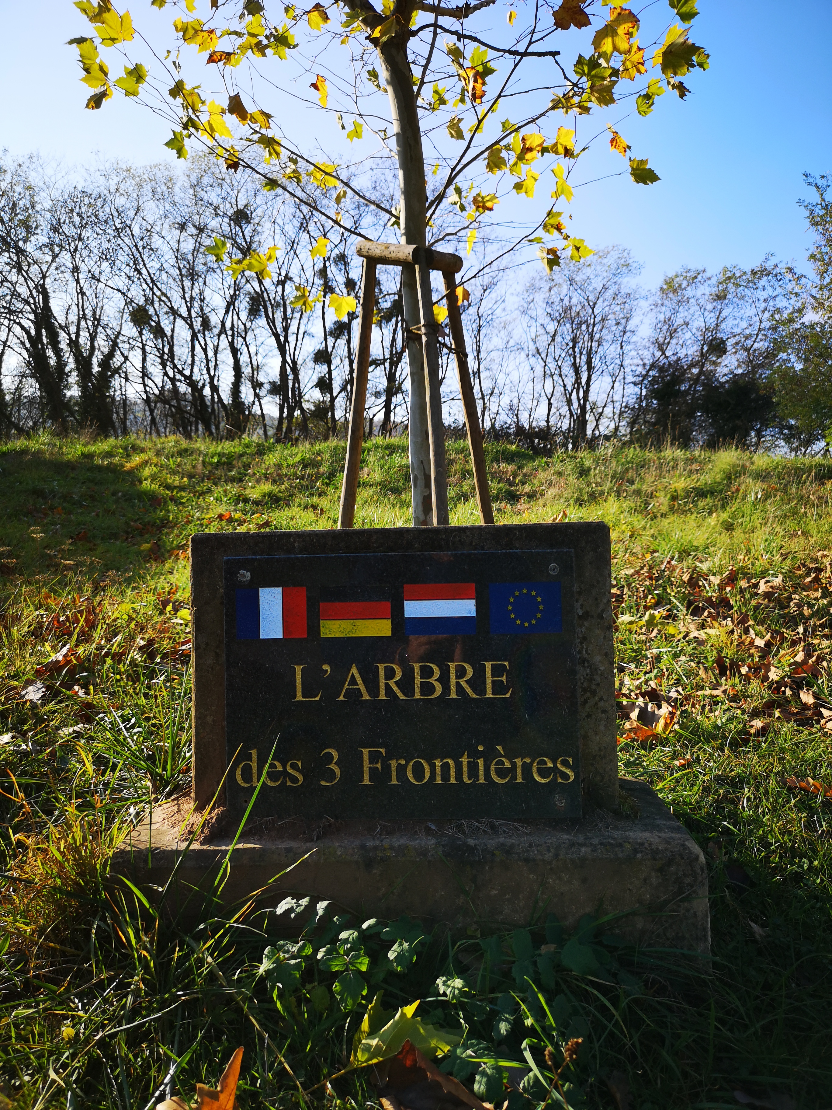 Photo n° 2 de l'avis de YU.U fait le 04/11/2018 à 12:42