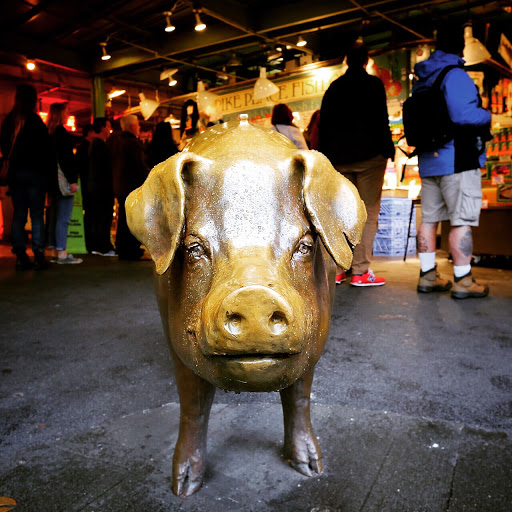 Tourist Attraction «Rachel the Piggy Bank», reviews and photos, Pike St, Seattle, WA 98101, USA