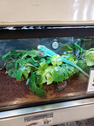 Pet Supply Store «Petco Animal Supplies», reviews and photos, 264 Dillon Ridge Way, Dillon, CO 80435, USA